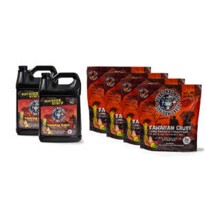 4 Sawaiian Crunch Bags + 2 Sawaiian Punch Bottles